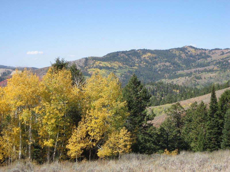 AR07-Elk07-IMG 0037