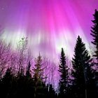AR24-IMG 2875