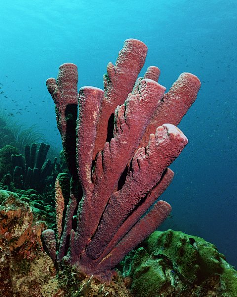 UWBN06-225 2A
