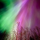 IMG E2876