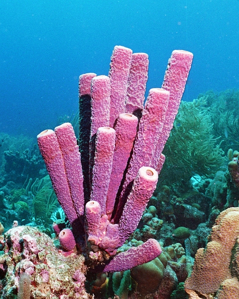 UWBN06-222 22