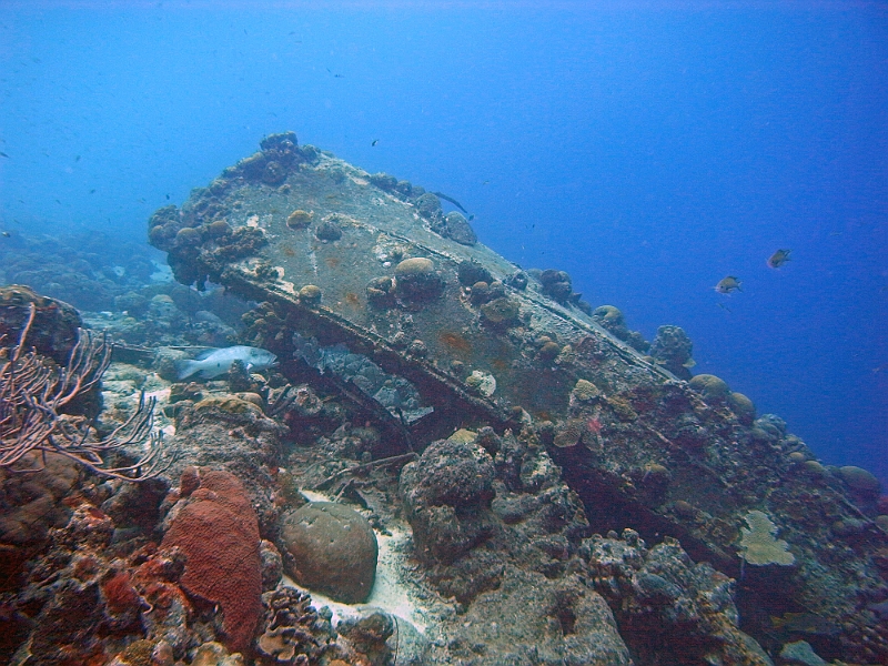 UWBN13-M0010317