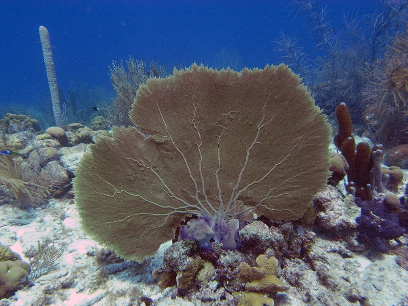 UWBN15-M0011174