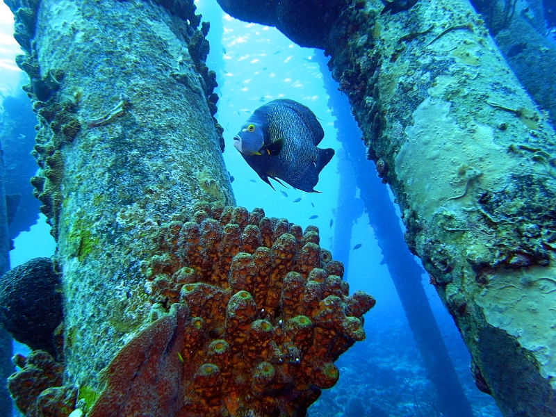 UWBN19-M0012630