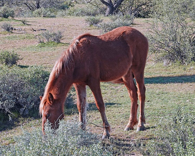DSC00900