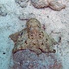 M0013214  Exif JPEG PICTURE